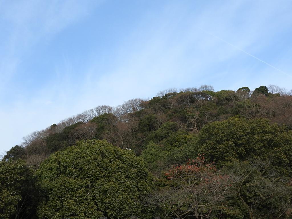 Отель Furuyu Onsen Oogiya Сага Экстерьер фото
